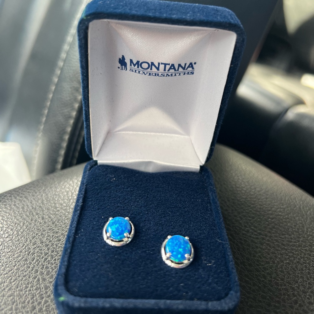 Montana SilverSmith River Of Lights Mountain Lake earrings